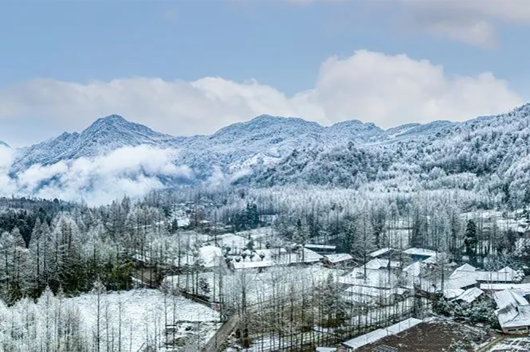 艳阳里雪花纷飞1