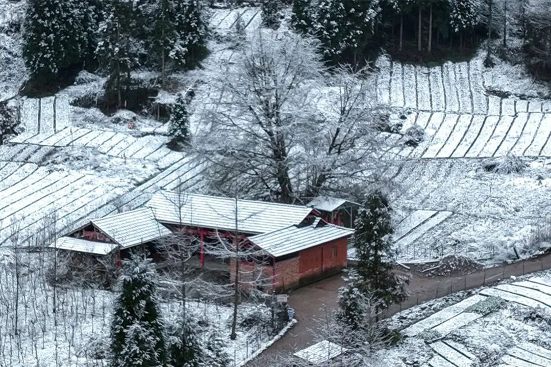 艳阳里雪花纷飞5