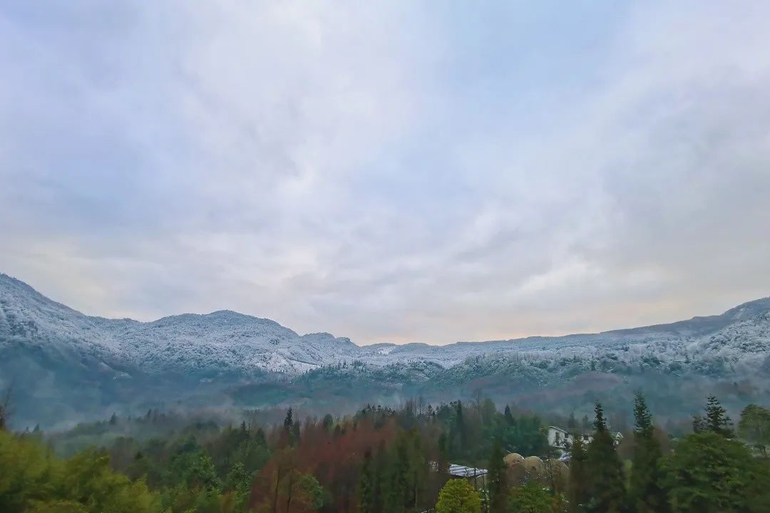 艳阳里雪花纷飞6