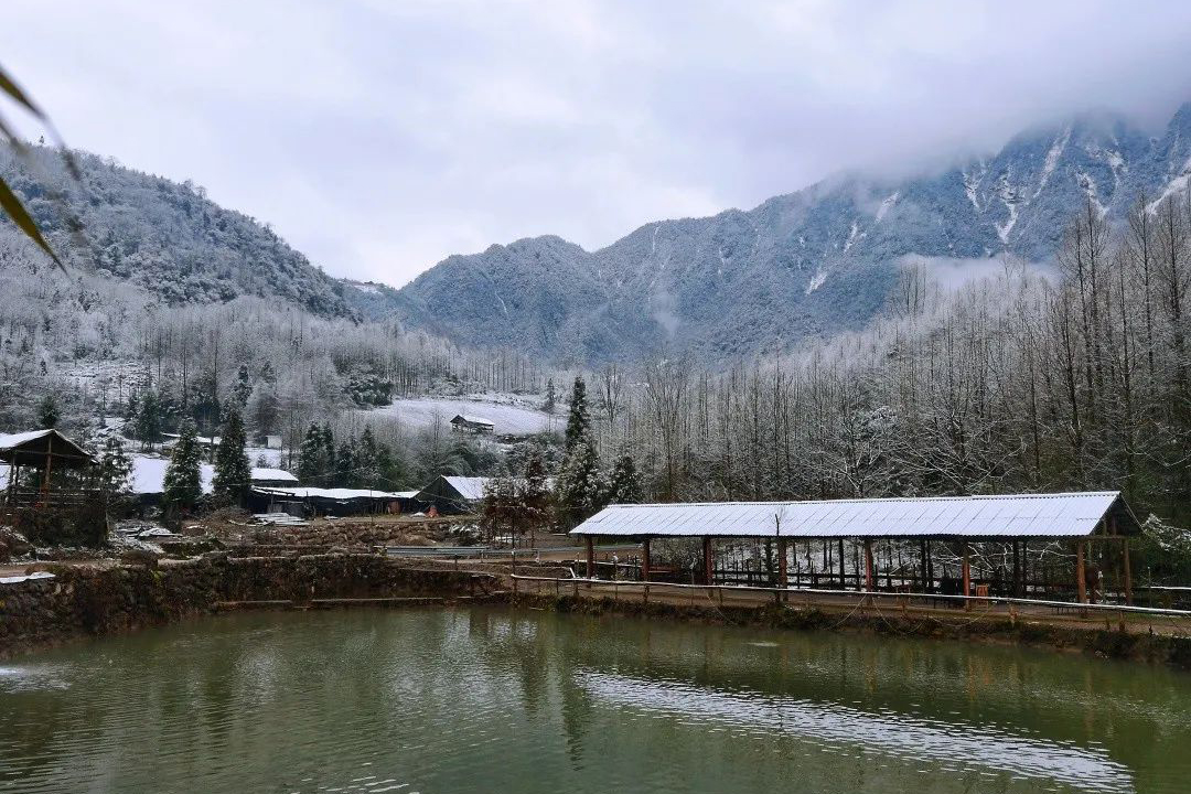 艳阳里雪花纷飞4