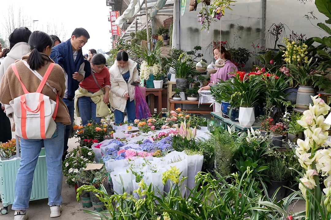 市民买花