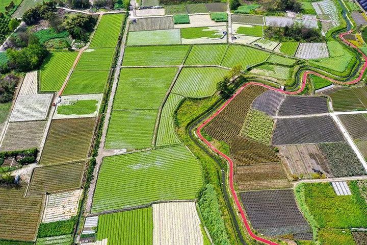 郫筒街道濂溪村