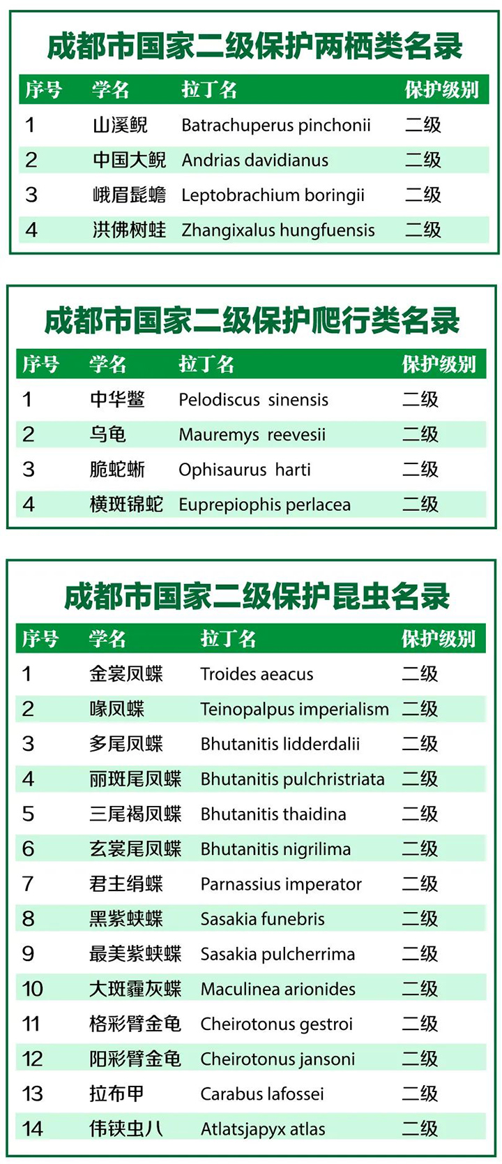 二级两栖类