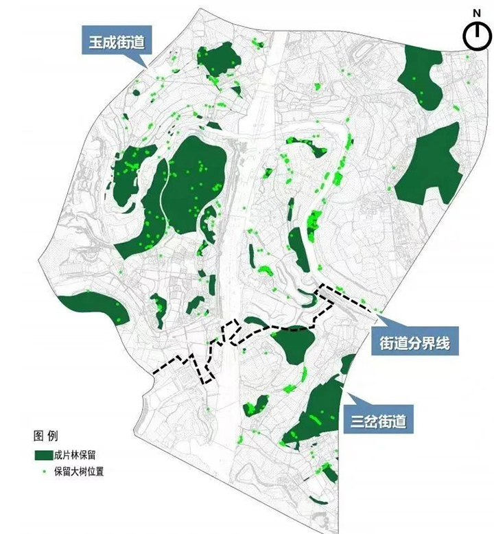 对主会场现状植物进行专项保护