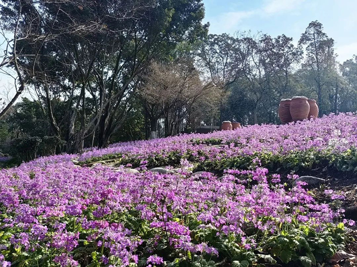 中心广场