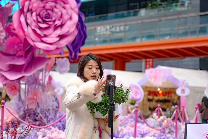 二月花市09