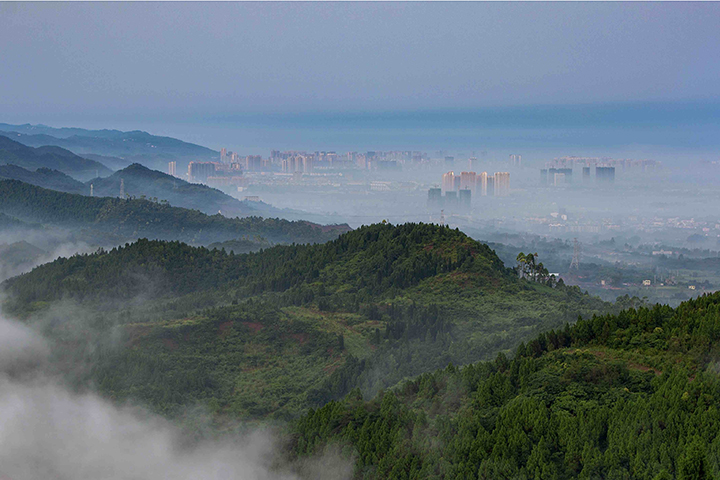 龙泉山森林公园